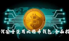 如何安全使用比特币钱包