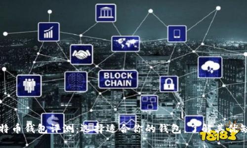 比特币钱包评测：选择适合你的钱包，了解其优缺点