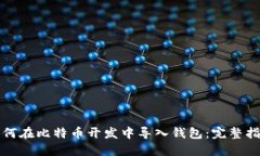 如何在比特币开发中导入