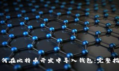 如何在比特币开发中导入钱包：完整指南
