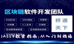 虚拟币ASS（Ass）投资指南
