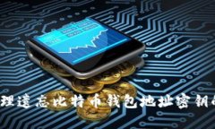如何处理遗忘比特币钱包