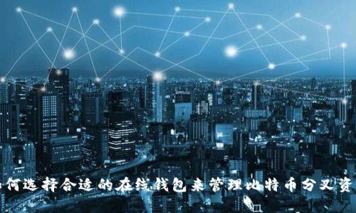如何选择合适的在线钱包来管理比特币分叉资产
