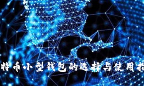 比特币小型钱包的选择与使用指南