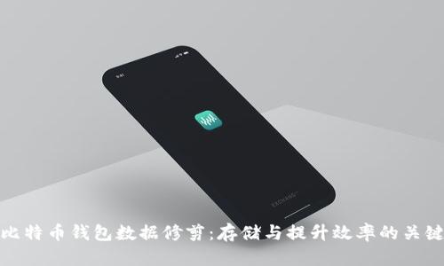 比特币钱包数据修剪：存储与提升效率的关键