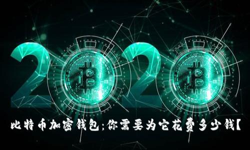 比特币加密钱包：你需要为它花费多少钱？