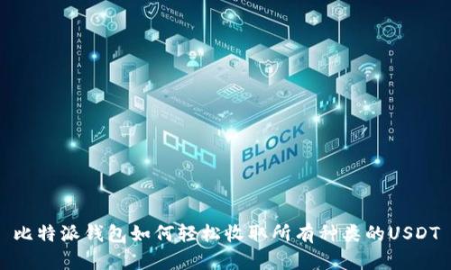 比特派钱包如何轻松收取所有种类的USDT