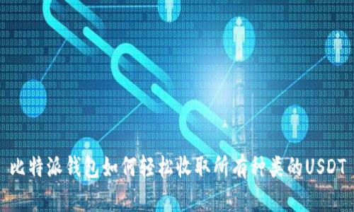 比特派钱包如何轻松收取所有种类的USDT