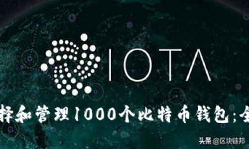 如何选择和管理1000个比特币钱包：全面指南