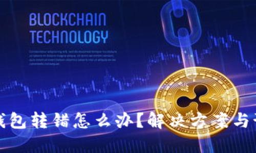 区块链钱包转错怎么办？解决方案与预防措施