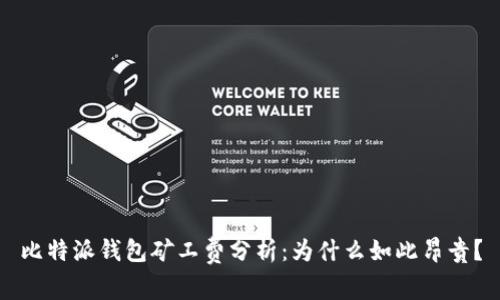 比特派钱包矿工费分析：为什么如此昂贵？