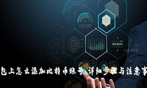 钱包上怎么添加比特币账号：详细步骤与注意事项