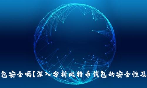 比特币钱包安全吗？深入分析比特币钱包的安全性及保护措施