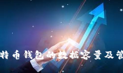 本地比特币钱包的数据容量及管理详解