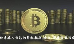 比特币存入钱包的终极指
