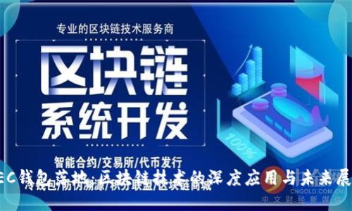 GEC钱包落地：区块链技术的深度应用与未来展望