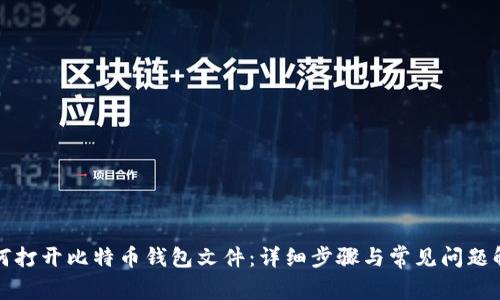 如何打开比特币钱包文件：详细步骤与常见问题解答