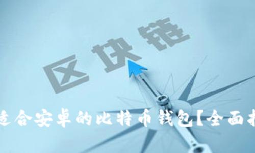 如何选择适合安卓的比特币钱包？全面指南与推荐