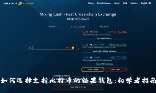 如何选择支持比特币的糖果钱包：初学者指南