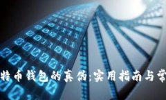 如何识别比特币钱包的真