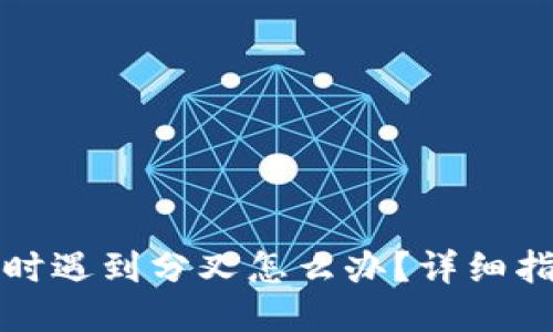 比特币放钱包时遇到分叉怎么办？详细指南与应对策略