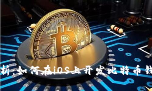 全面解析：如何在iOS上开发比特币钱包应用