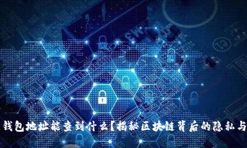 区块链钱包地址能查到什么？揭秘区块链背后的隐私与透明性