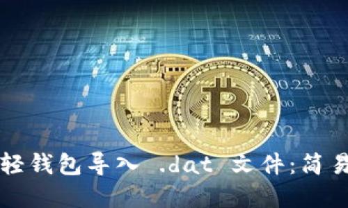 如何使用比特币轻钱包导入 .dat 文件：简易指南与最佳实践