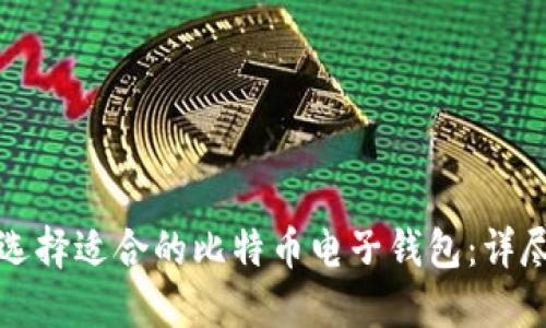 如何选择适合的比特币电子钱包：详尽指南