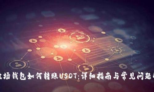 TP波场钱包如何转账USDT：详细指南与常见问题解答
