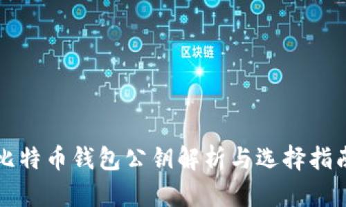 比特币钱包公钥解析与选择指南
