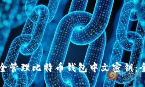 如何安全管理比特币钱包中文密钥：全面指南