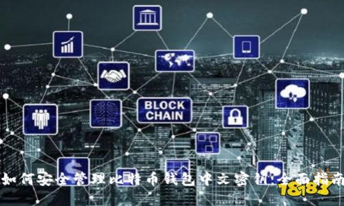 如何安全管理比特币钱包中文密钥：全面指南