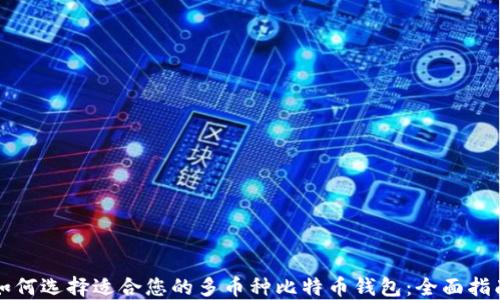 
如何选择适合您的多币种比特币钱包：全面指南