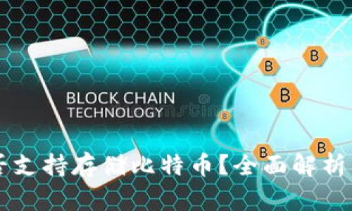 SC钱包是否支持存储比特币？全面解析与使用指南