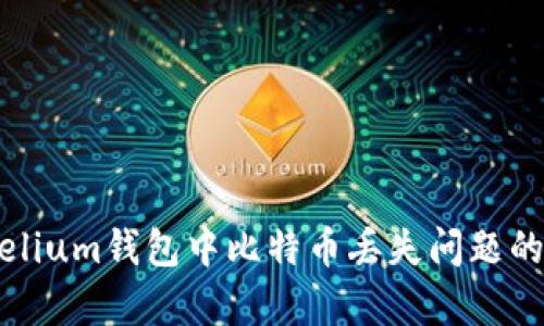 解决Mycelium钱包中比特币丢失问题的全面指南