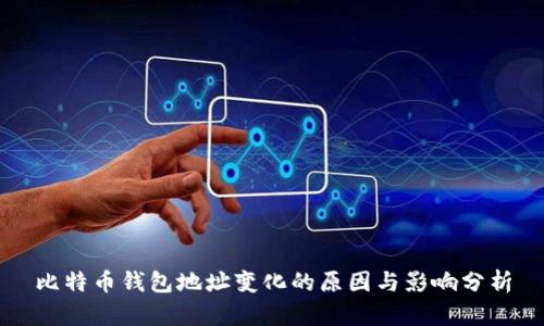 比特币钱包地址变化的原因与影响分析