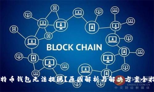 比特币钱包无法提现？原因解析与解决方案全指南