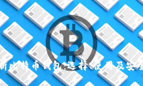全面解析比特币钱包：选择、使用及安全性指南