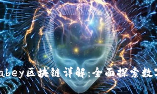 apay钱包与abey区块链详解：全面探索数字资产的未来