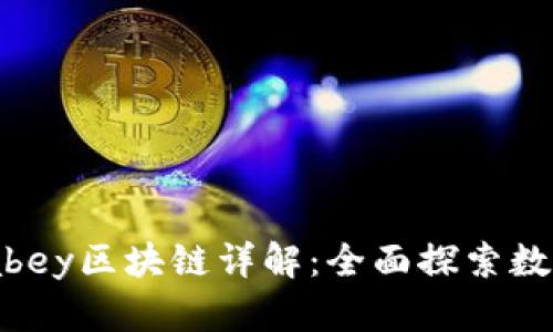 apay钱包与abey区块链详解：全面探索数字资产的未来