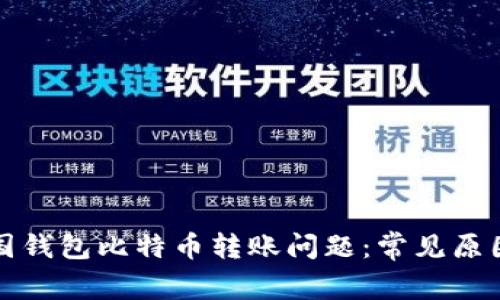 如何解决美国钱包比特币转账问题：常见原因与解决方案