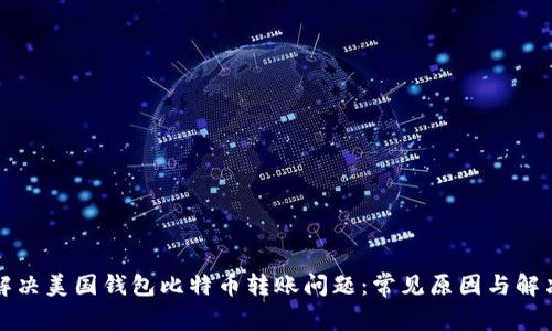 如何解决美国钱包比特币转账问题：常见原因与解决方案