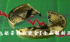 GoPay钱包能否转出资金？全