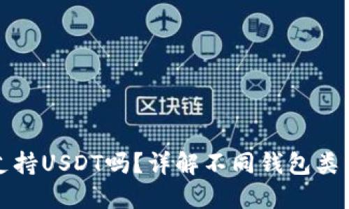 比特币钱包支持USDT吗？详解不同钱包类型及其适用性