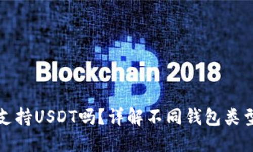 比特币钱包支持USDT吗？详解不同钱包类型及其适用性