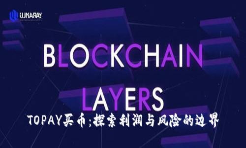 TOPAY买币：探索利润与风险的边界
