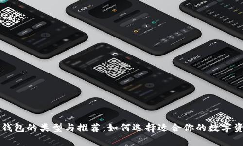 িল্প区块链钱包的类型与推荐：如何选择适合你的数字资产存储解决方案