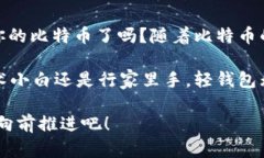   比特币轻钱包的选择与使
