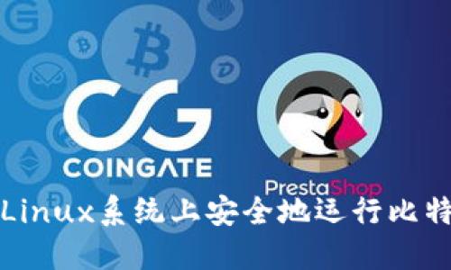 如何在Linux系统上安全地运行比特币钱包